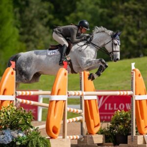 946AA5D1-B503-4745-B6B7-5EAE75C5B642